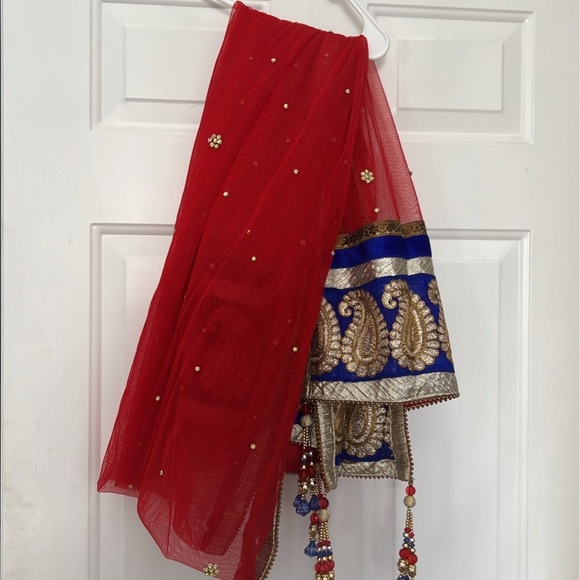 Lehenga - Picture 5 of 8